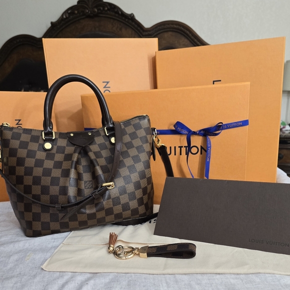Louis Vuitton Damier Ebene Siena PM Bag - Picture 6 of 17
